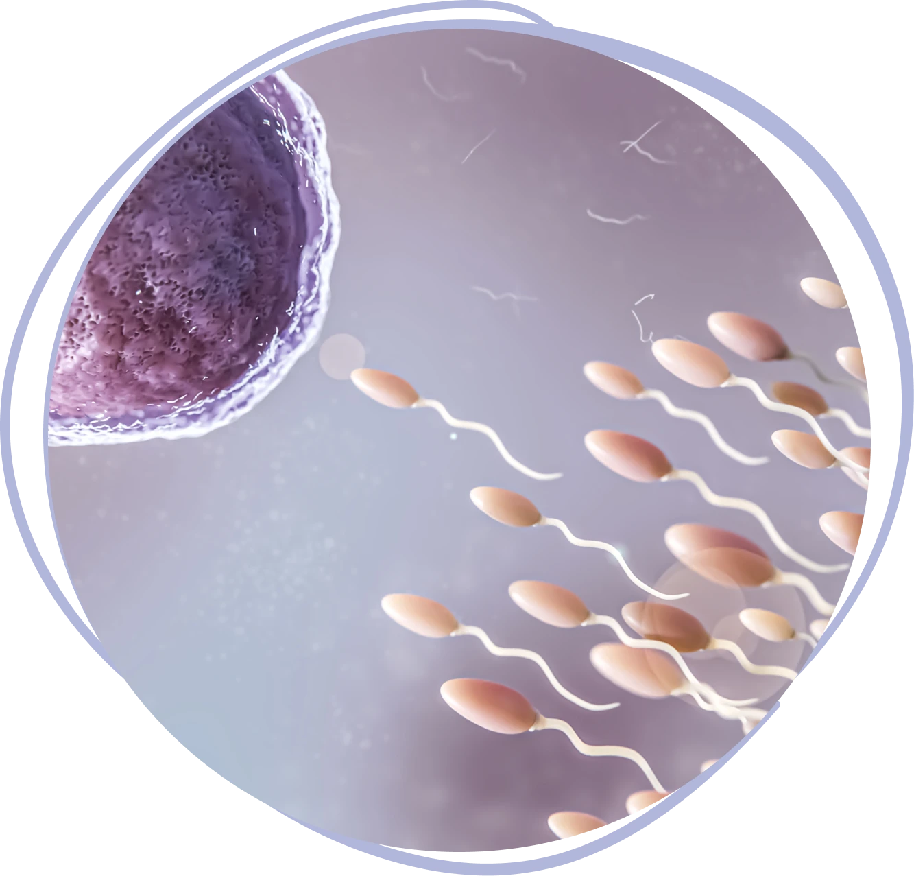 Inseminación artificial