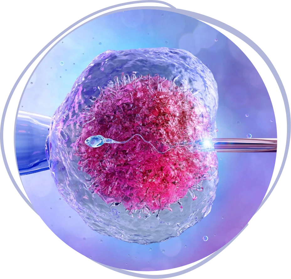 Fecundación in Vitro